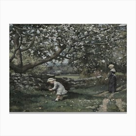 Two Women Picking Apples Canvas Print