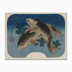 Carp Swimming By Water Weeds, Katsushika Hokusai Canvas Print