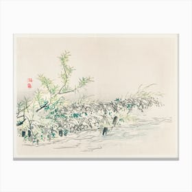Bulrush, Kōno Bairei Canvas Print