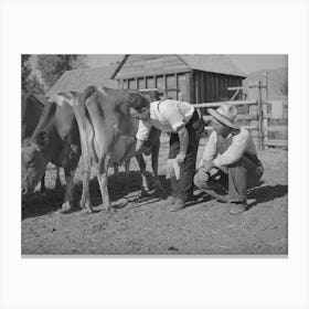 Fsa (Farm Security Administration) Supervisor Explaining The Fine Points Of A Cow, Box Elder County, Utah By Russ Canvas Print
