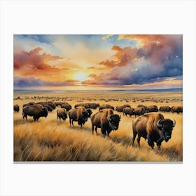 Bison At Sunset Meadow Slumber Beneath the Frost Canvas Print