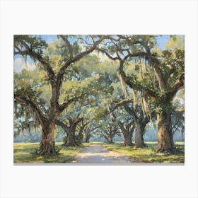 Road To The Oaks Canvas Print