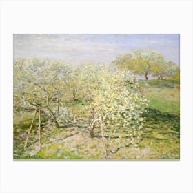 Blossoming Apple Trees Canvas Print