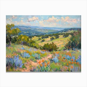 Western Landscapes Texas Hill Country 1 Canvas Print