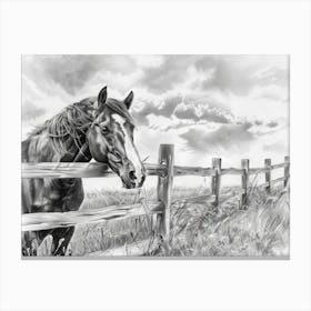 Horse On A Fence Canvas Print