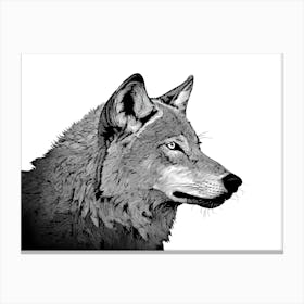 Black & White Wolf Portrait Canvas Print