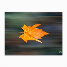 Speed Leaf 20231021114296pub Canvas Print