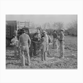 Group Of Mexican Laborers Getting Straw For Tying Carrots Near Santa Maria, Texas By Russell Lee Canvas Print