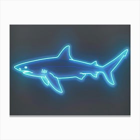 Neon Blacktip Reef Shark 6 Canvas Print