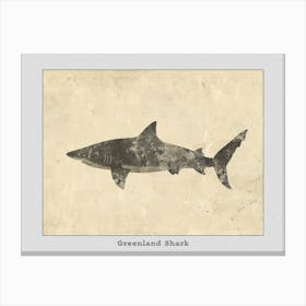 Greenland Shark Silhouette 2 Poster Canvas Print