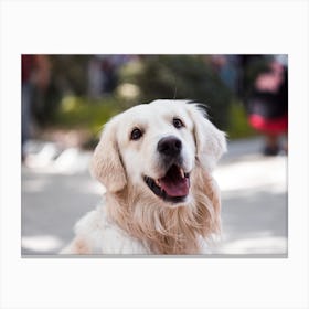 Golden Retriever Canvas Print