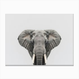 Elephant Canvas Art Canvas Print