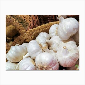 Garlic In A Basket 20201205 16ppub Canvas Print