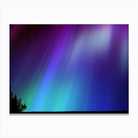 Aurora neon landscape #1 Canvas Print