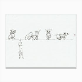 A comedy of dogs Canvas Print