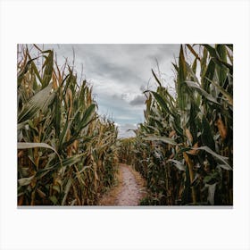 Rustic Corn Maze Canvas Print