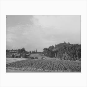 Fall Gardens And Orchards, Willamette Valley, Clackamas County, Oregon, This Section Produces Truck For Portland Ar Canvas Print