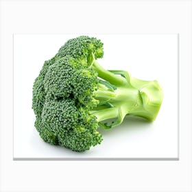 Broccoli Canvas Print