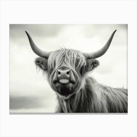 Highland Cow Black and White Canvas Print