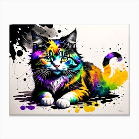 Rainbow Cat 5 Canvas Print