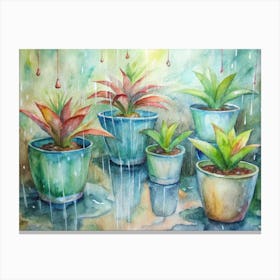 Potted Plants In Rain Canvas Print