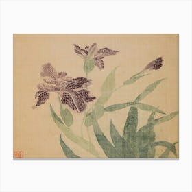 Chinese Iris Canvas Print