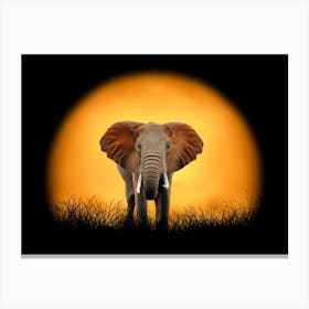 Elephant At Sunset Canvas Print