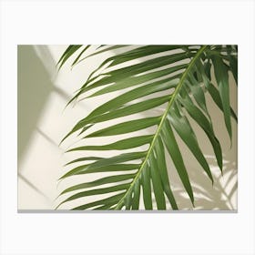 Close Up Of A Palm Leaf With Its Long, Green Fronds Against A White Background, With Shadows From A Window Illuminating The Scene Canvas Print