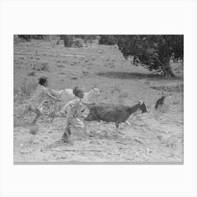 Children Play With The Goats At All Day Sunday Visiting, Pie Town, New Mexico By Russell Lee Canvas Print