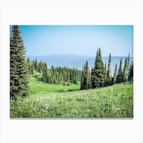 Green Meadow Canvas Print