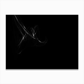 Glowing Abstract Curved Black And White Lines 2 Canvas Print