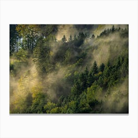 The Soul of the Forest Canvas Print