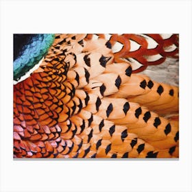 Pheasant Feathers Canvas Print