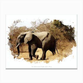 Parc National De La Pendjari, Benin, Africa Canvas Print