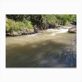 River In The Jungle 1 Canvas Print