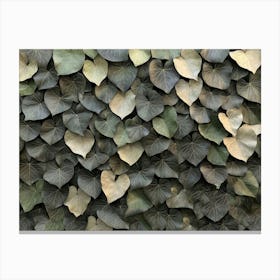 Ivy Wall Canvas Print