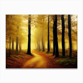 Path In The Forest Canvas Print