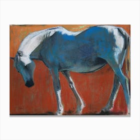 Horse On Orange Background Canvas Print