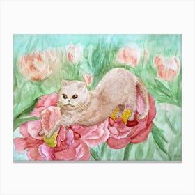 Cats Have Fun The Beige British Shorthair Cat On Pink Peony Flowers Canvas Print