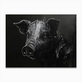 Pig in Black Canvas Print