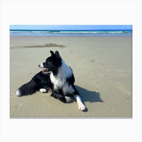 Border Collie On The Beach 1 Canvas Print