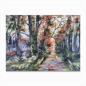 Path In The Woods 2 Canvas Print