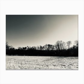 Snowy Field Canvas Print