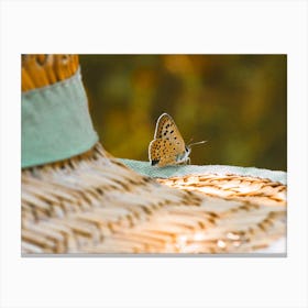 Woodland Moth On Hat Canvas Print