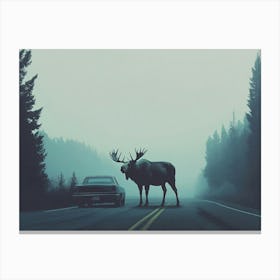 Moose Crossing The Road Canvas Print