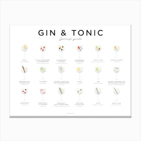 Gin And Tonic Garnishes Landscape Minimal Canvas Print