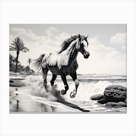 A Horse Oil Painting In Eagle Beach, Aruba, Landscape 2 Canvas Print