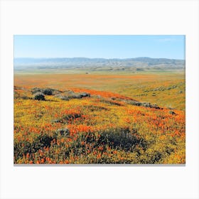 Orange Poppy Field Canvas Print
