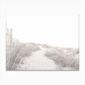 Path To Beach Canvas Print