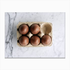 Eggs In A Carton 21 Canvas Print